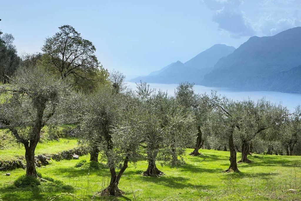 Villa Siresola Malcesine Exterior foto